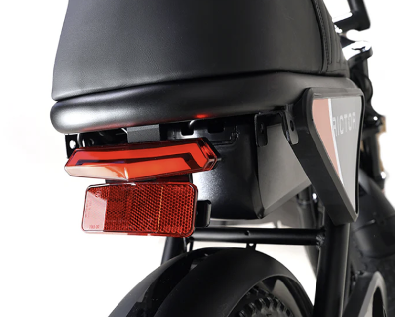 Rictor Flexx E-bike - Regular-1