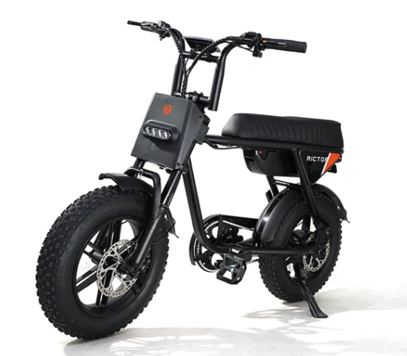 Rictor Flexx E-bike - Regular