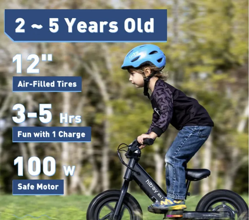 Hiboy BK1 Electric Balance Bike Black FULLY ASSEMBLED-1