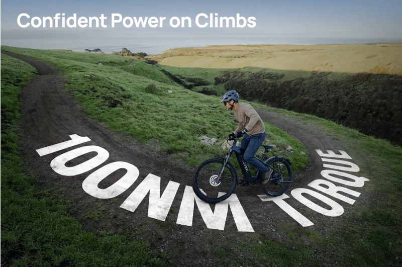 Velotric Summit 2 - Galaxy Purple-9