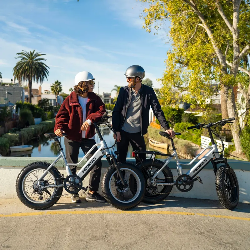 Pedego Element V2 Platinum Edition 20 inch - Platinum-4