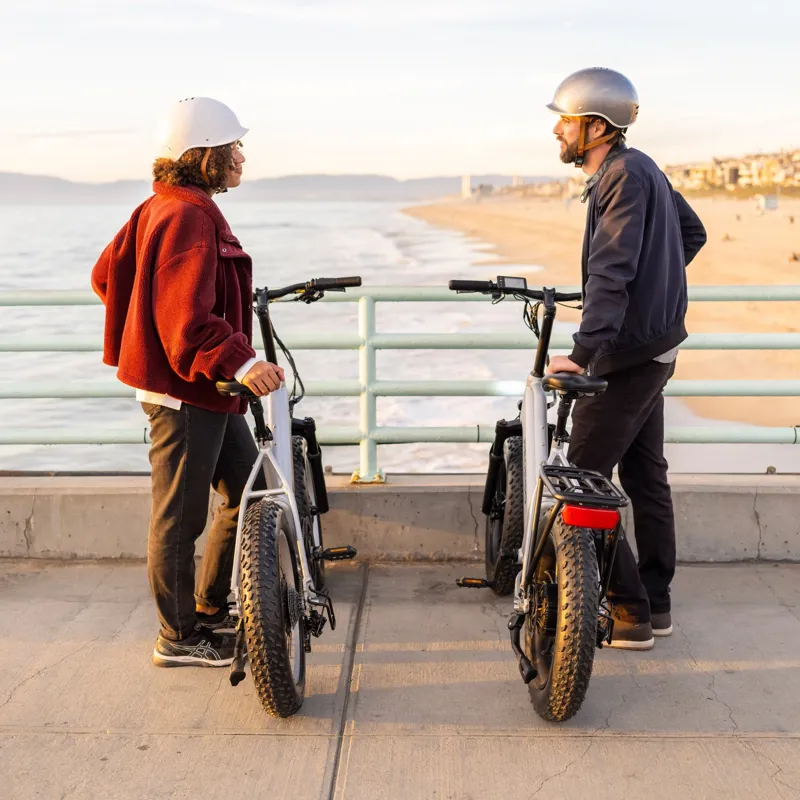 Pedego Element V2 Platinum Edition 20 inch - Platinum-5