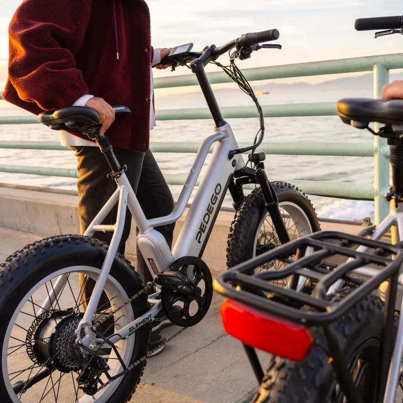 Pedego Element V2 Platinum Edition 20 inch - Platinum-6