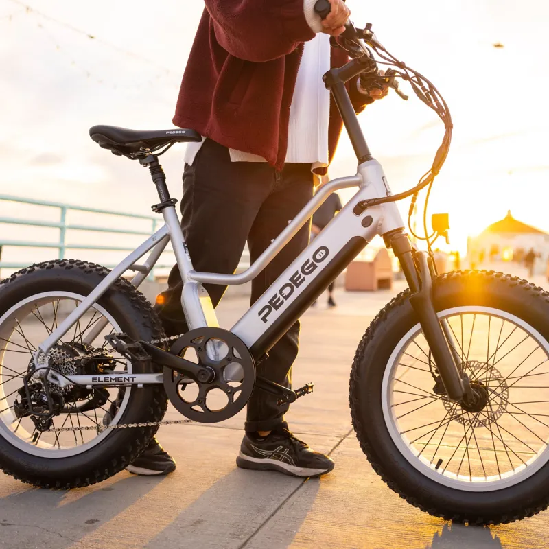 Pedego Element V2 Platinum Edition 20 inch - Platinum-7