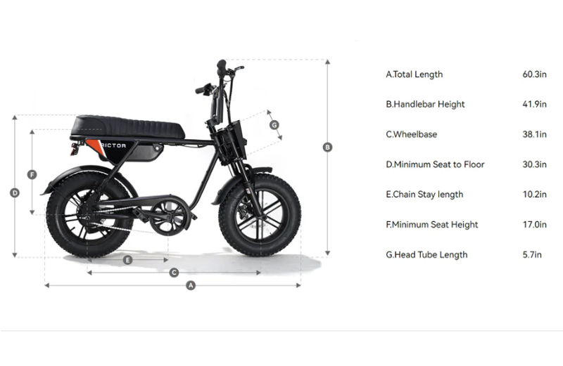 Rictor Flexx E-bike - Regular-3